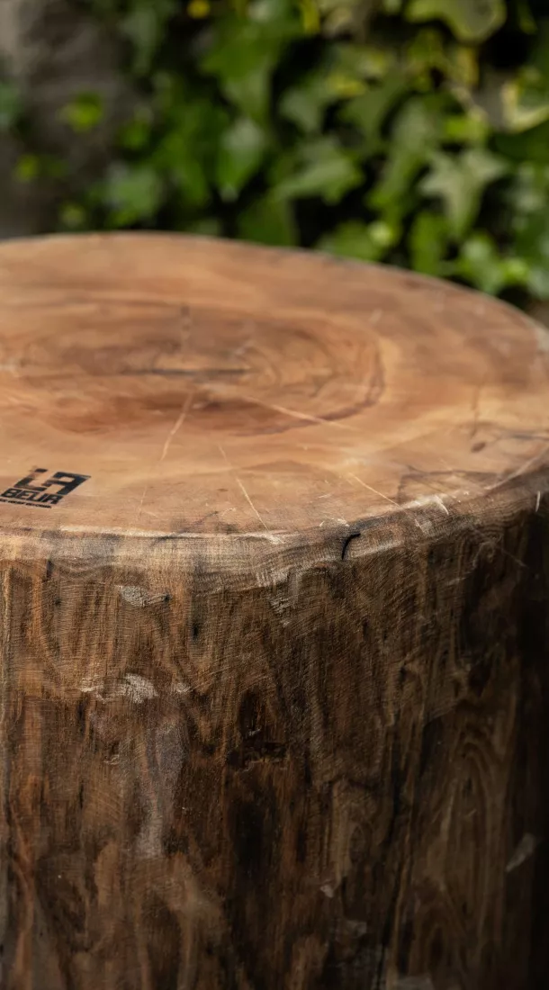 Boomstam zitje gemaakt door Labeur, sociale economie - MEMO Koncept 